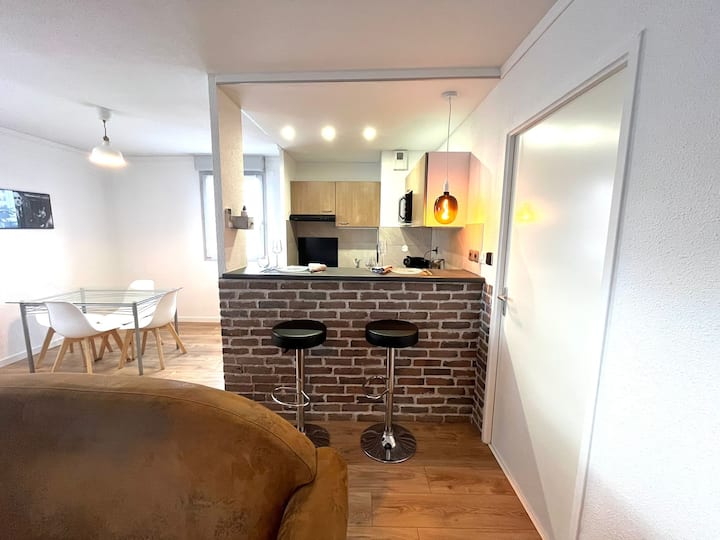 Studio Cheminée – Cœur de Ville